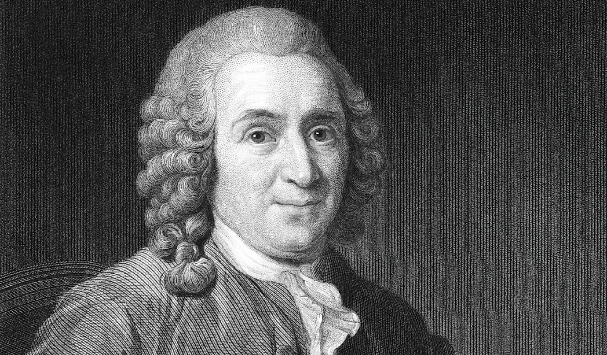 How Bias Persists_Linnaeus
